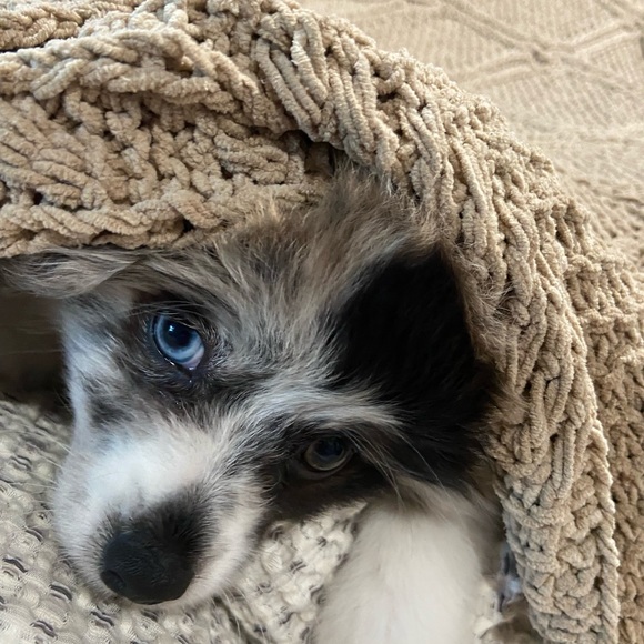 Meet your Posher - Picture 1 of 8